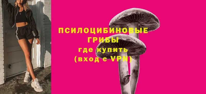 Галлюциногенные грибы Cubensis  сколько стоит  Арамиль 